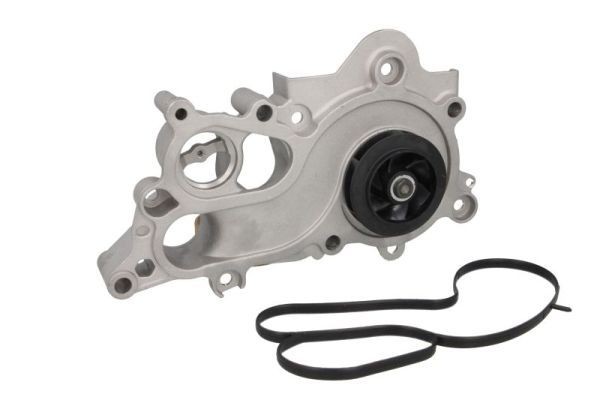THERMOTEC Water pump Article number: D1W063TT cheaply