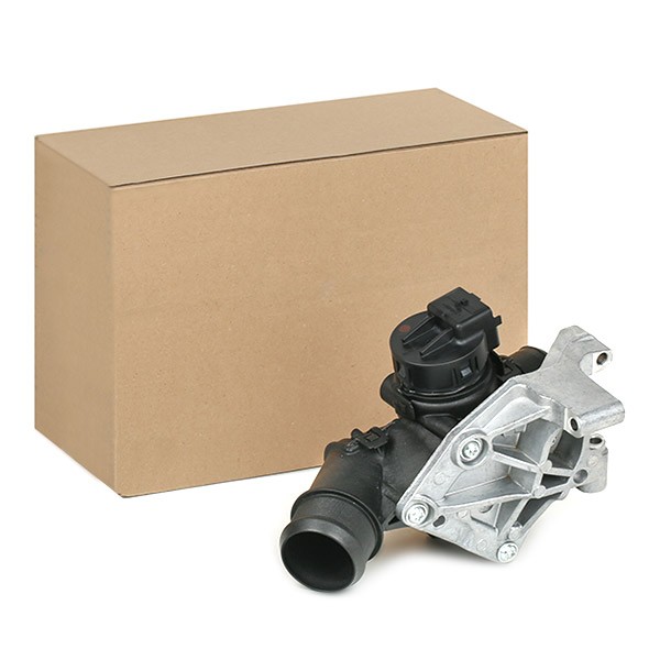 DELPHI Throttle body Article number: DA100004 cheaply