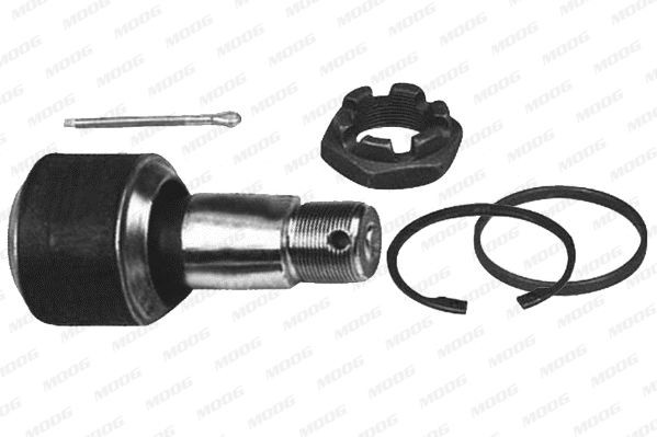 MOOG Repair Kit, guide strut Article number: DF-RK-9341 cheaply