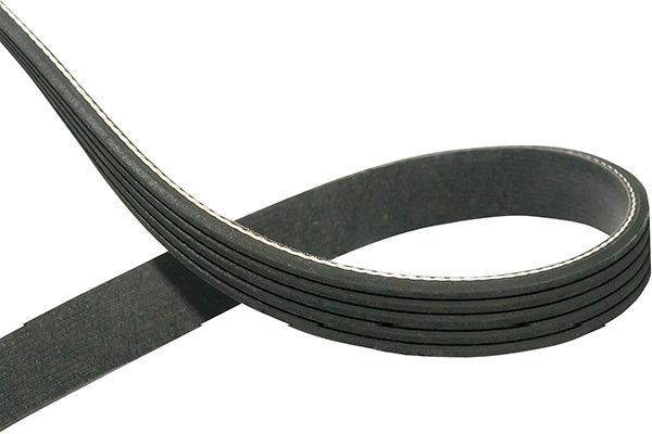 KAVO PARTS Serpentine belt Article number: DMV-1007 cheaply