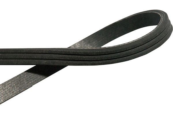 KAVO PARTS Serpentine belt Article number: DMV-9007 cheaply