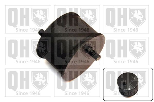 QUINTON HAZELL Engine mount Article number: EM1448 cheaply