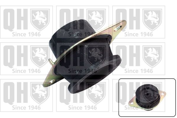 QUINTON HAZELL Mounting, automatic transmission Article number: EM4542 cheaply