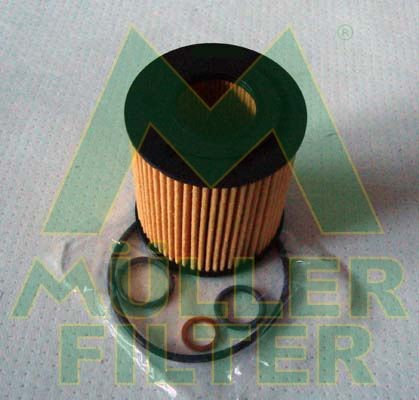 MULLER FILTER Fuel filter Article number: FB007 cheaply
