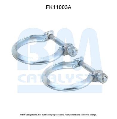 BM CATALYSTS Mounting Kit, soot filter Article number: FK11003 cheaply