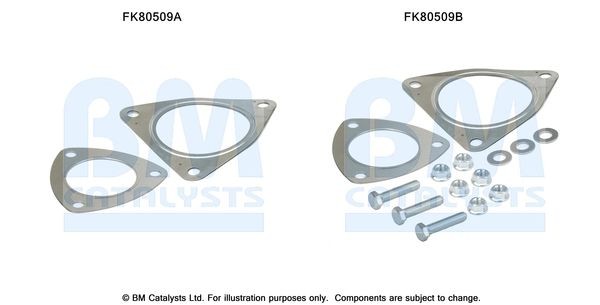BM CATALYSTS Montagesæt, katalysator Varenummer: FK80509 billige