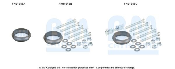 BM CATALYSTS Mounting Kit, catalytic converter Article number: FK91645 cheaply