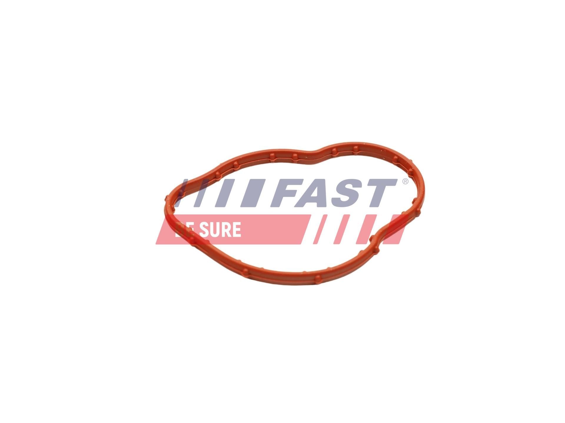 FAST Thermostat Article number: FT58178 cheaply