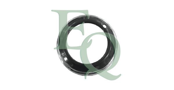 EQUAL QUALITY Bumper grill Article number: G1966 cheaply
