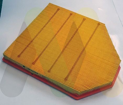 MOTAQUIP Air filter Article number: LVFA1604 cheaply