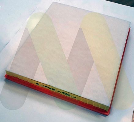 MOTAQUIP Air filter Article number: LVFA1638 cheaply