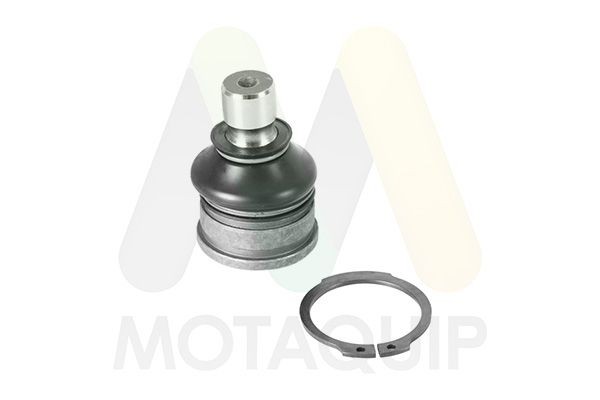 MOTAQUIP Ball Joint Article number: LVSJ1161 cheaply