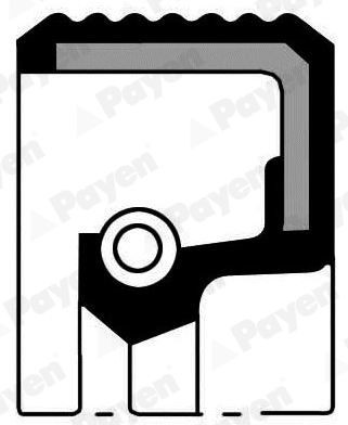 PAYEN Crankshaft seal Article number: NB307 cheaply