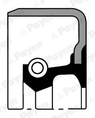 PAYEN Shaft Seal, differential Article number: NJ382 cheaply