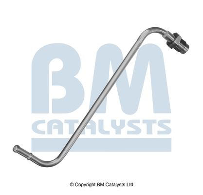 BM CATALYSTS Trykslange, tryksensor (sod- / partikelfilter) Varenummer: PP11012A billige