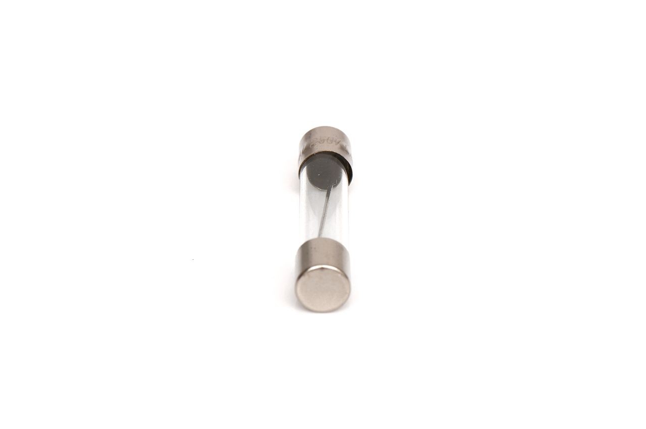 BOSCH 1 987 529 905 Fuse SCÉNIC 1.9 dCi 102 PS Diesel 2003