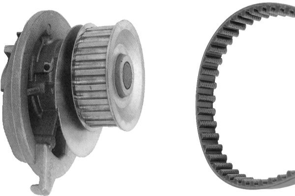 BOSCH Water pump and timing belt kit Article number: 1 987 948 504 cheaply