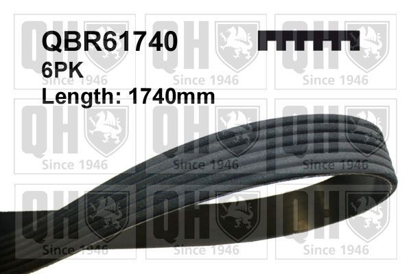 QUINTON HAZELL Serpentine belt Article number: QBR61740 cheaply