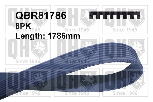 QUINTON HAZELL V formos rumbuoti diržai prekės numeris: QBR81786 nebrangu