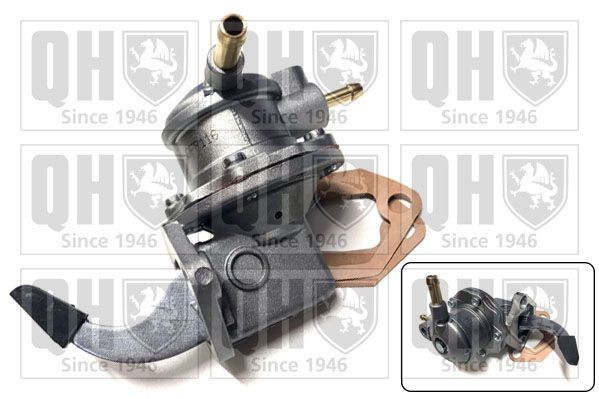 QUINTON HAZELL Fuel pump Article number: QFP116 cheaply