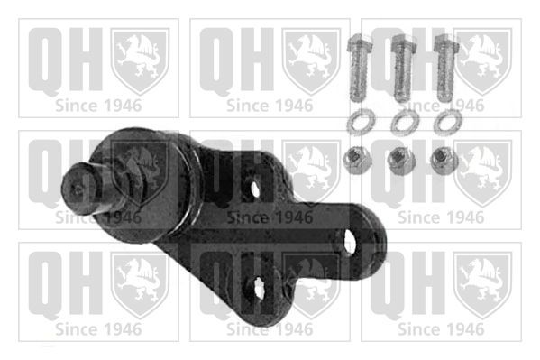 QUINTON HAZELL Ball Joint Article number: QSJ3646S cheaply