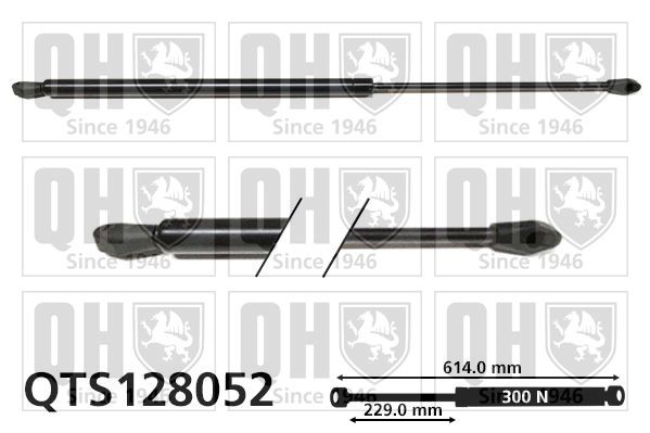 QUINTON HAZELL Tailgate strut Article number: QTS128052 cheaply