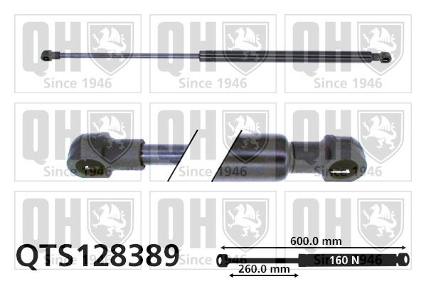 QUINTON HAZELL Tailgate strut Article number: QTS128389 cheaply