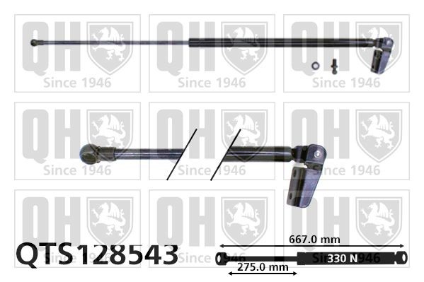 QUINTON HAZELL Tailgate strut Article number: QTS128543 cheaply