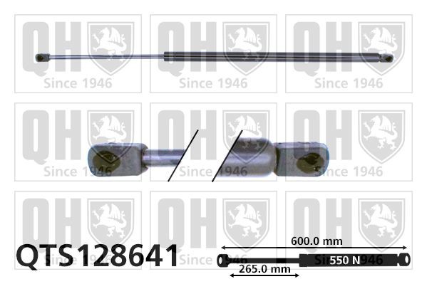 QUINTON HAZELL Bagklapsdæmper Varenummer: QTS128641 billige
