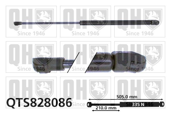QUINTON HAZELL Tailgate strut Article number: QTS828086 cheaply