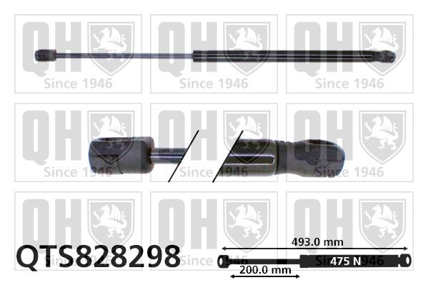 QUINTON HAZELL Tailgate strut Article number: QTS828298 cheaply