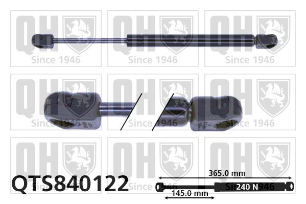 QUINTON HAZELL Tailgate strut Article number: QTS840122 cheaply