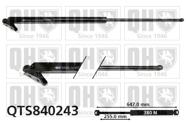 QUINTON HAZELL Tailgate strut Article number: QTS840243 cheaply