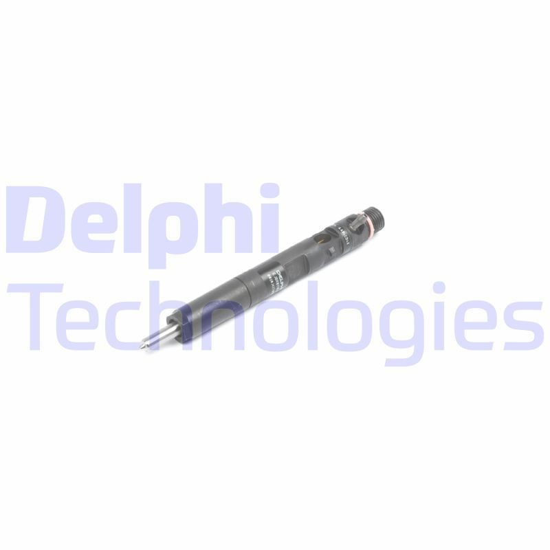 DELPHI Sissepritseklapp Artikli number: R02901D soodsalt