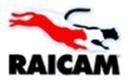RAICAM Clutch kit Article number: RC6781 cheaply