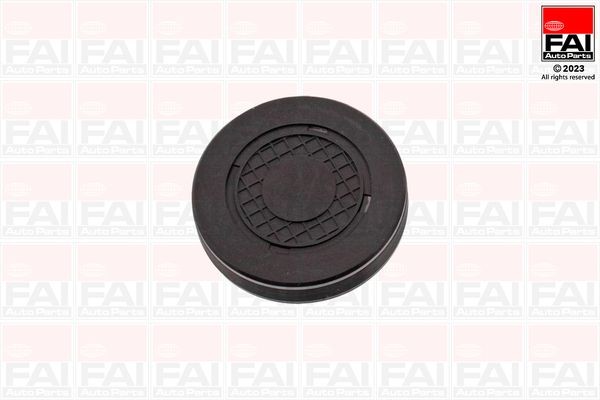 FAI AutoParts Plug, rocker arm shaft mounting bore Article number: RMG880B cheaply