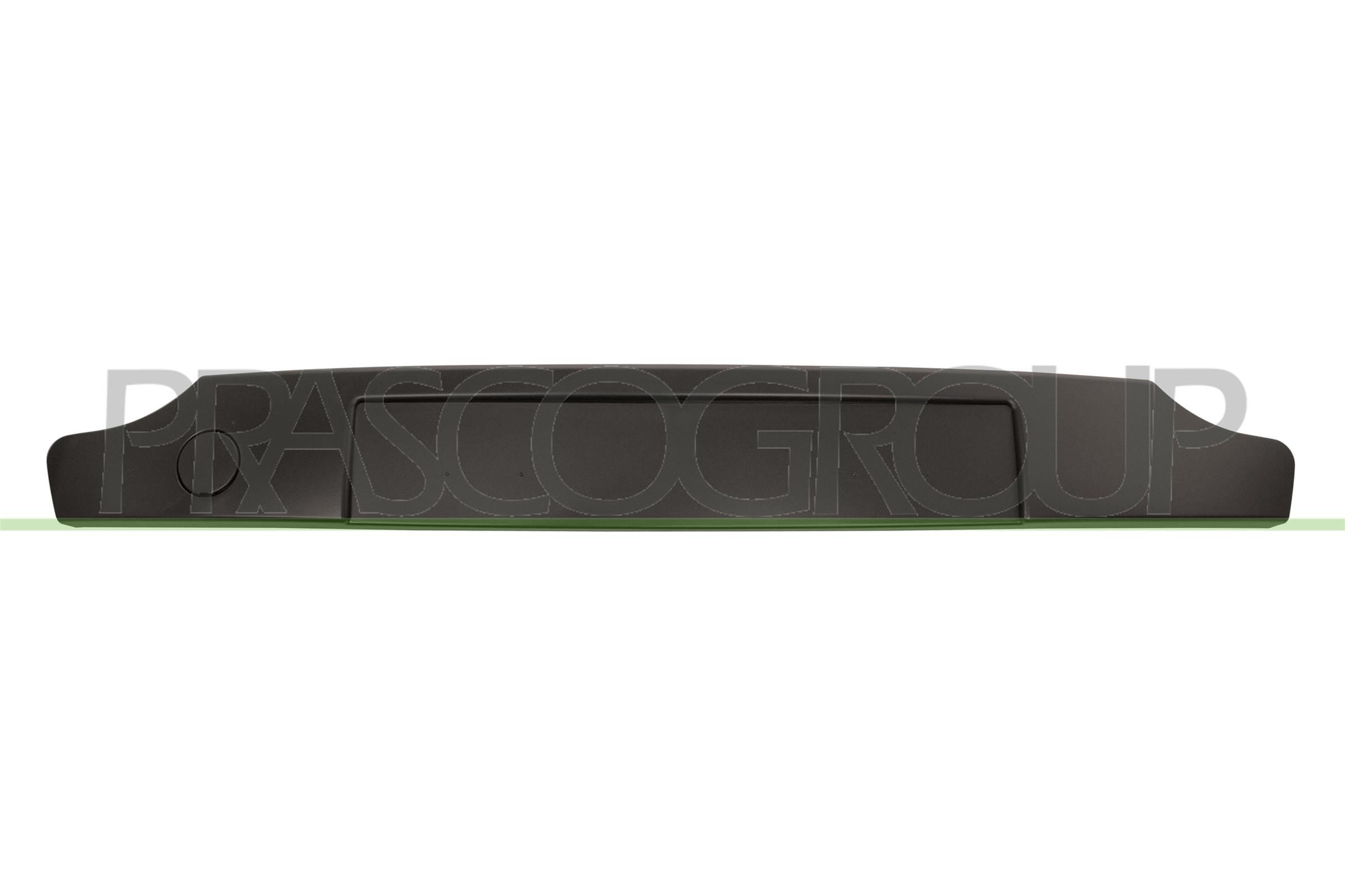 PRASCO RN2011245 Bumper moulding TWINGO 1.2 Turbo 100 PS Petrol