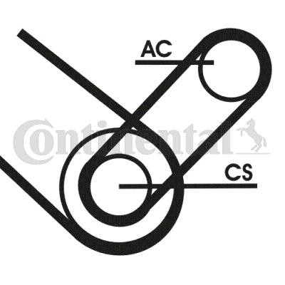 CONTITECH V-Ribbed Belt Set Article number: 4PK874 ELAST T1 cheaply