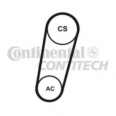 CONTITECH V-Ribbed Belt Set Article number: 5PK705 ELAST T1 cheaply