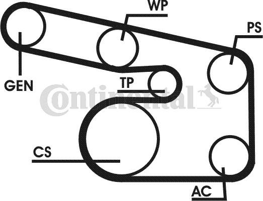 CONTITECH V-Ribbed Belt Set Article number: 6PK1900D1 cheaply