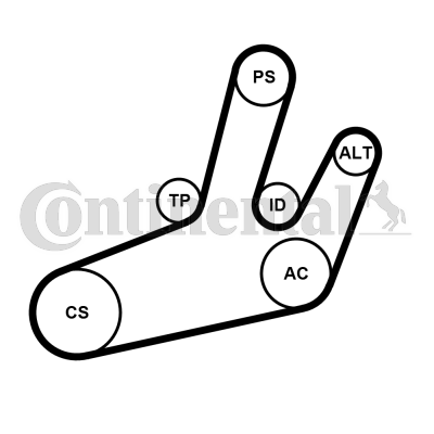 CONTITECH Timing Belt Article number: CT976 cheaply
