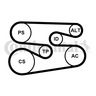 CONTITECH Timing belt kit Article number: CT977K2 cheaply