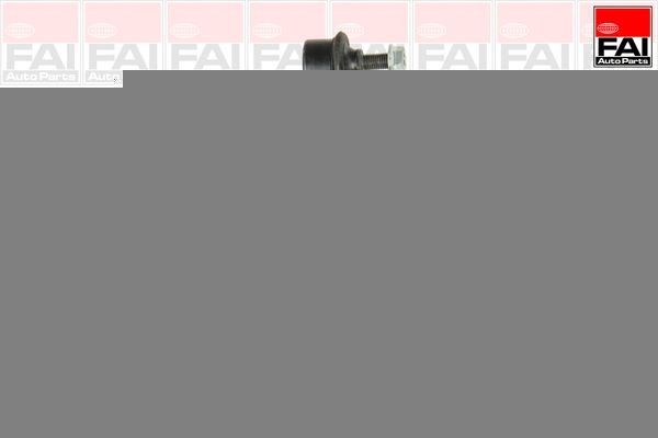FAI AutoParts Track rod end Article number: SS8194 cheaply