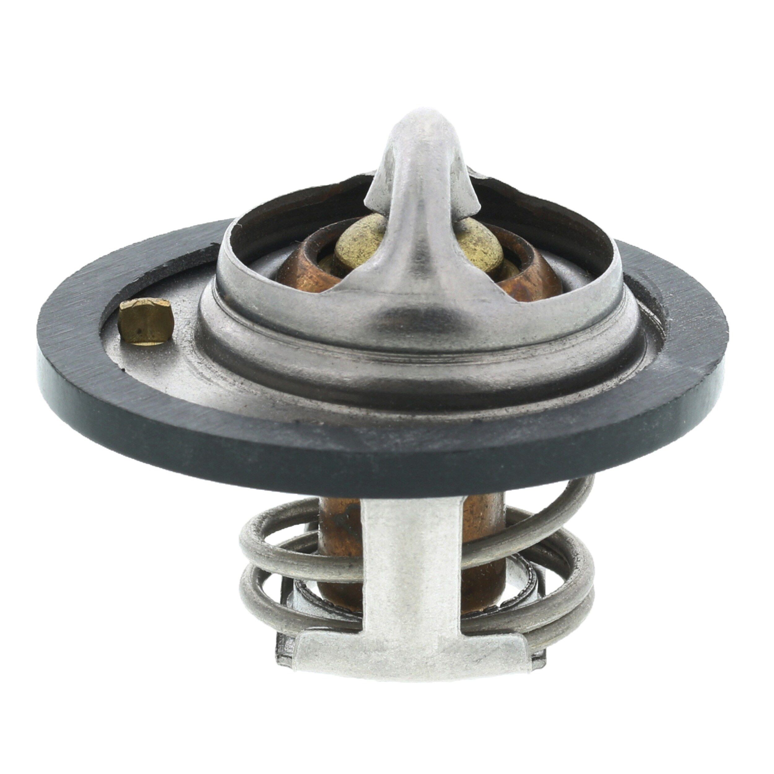 MOTORAD Radiator cap Article number: T-13R2 cheaply