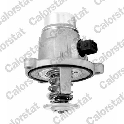 CALORSTAT by Vernet Thermostat Article number: TE7331.105J cheaply