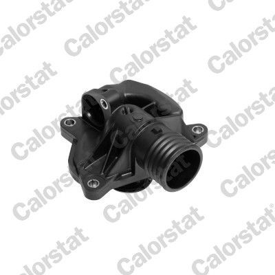 CALORSTAT by Vernet Thermostat Article number: TH6952.88J cheaply