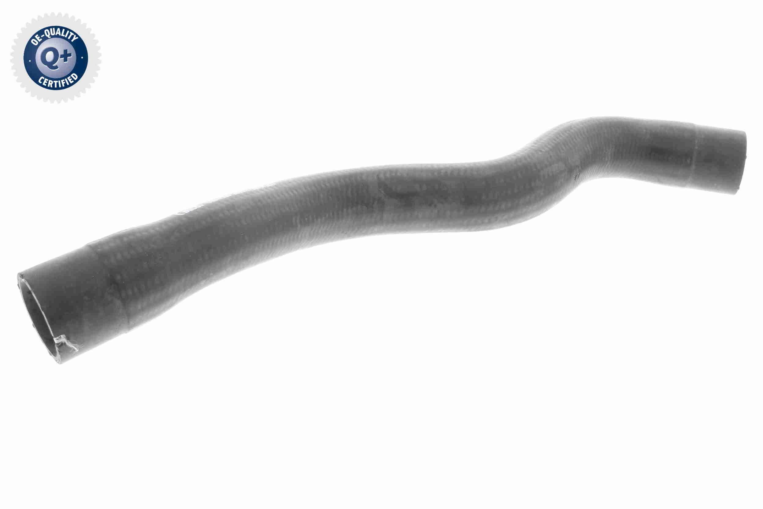 VAICO Radiator hose Article number: V40-1995 cheaply
