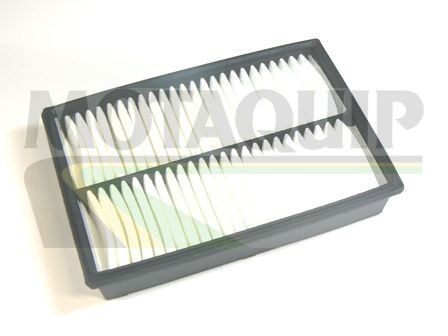 MOTAQUIP Air filter Article number: VFA1131 cheaply