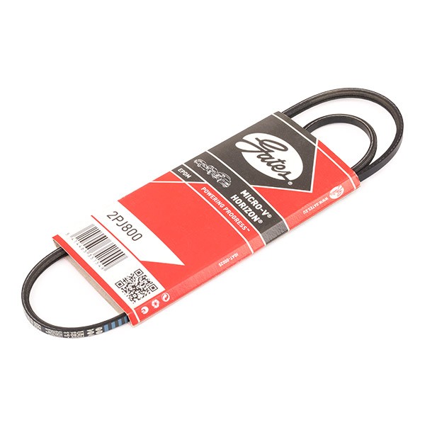 GATES Serpentine belt Article number: 2PJ800 cheaply