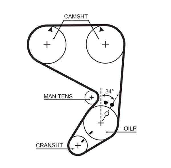GATES Timing Belt Article number: 5022 cheaply